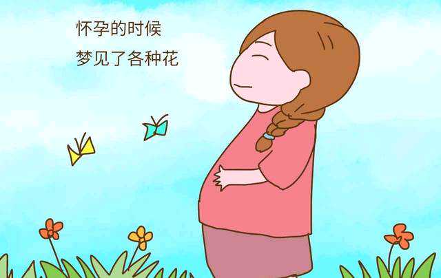 广州供卵助孕公司