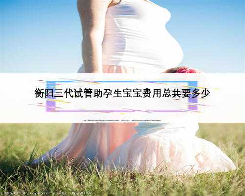 衡阳三代试管助孕生宝宝费用总共要多少